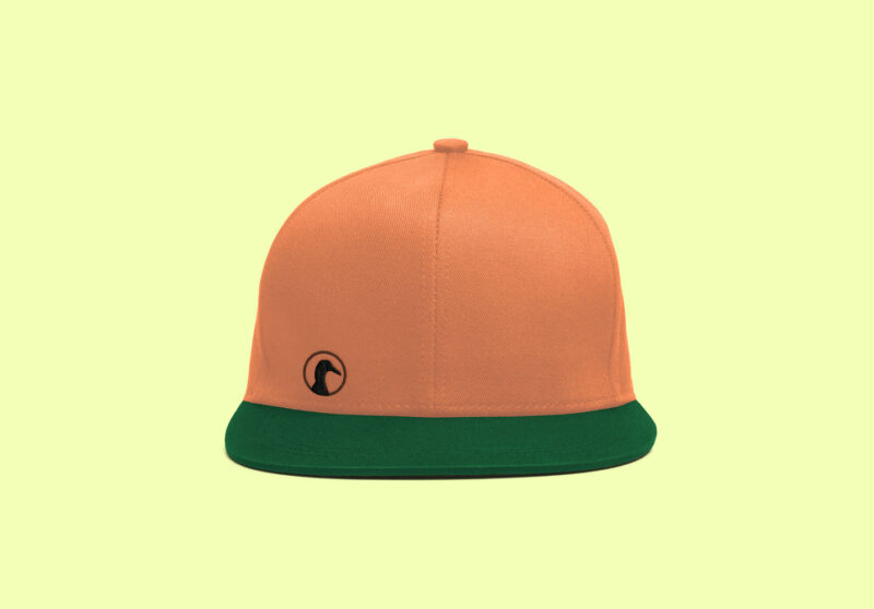 front view of the cap