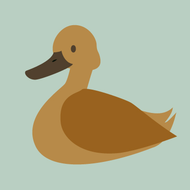 A brown duck