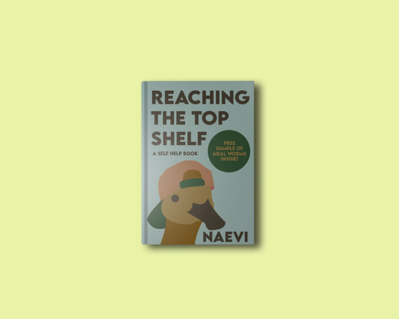 A book with a duck on the cover "Reaching the top shelf: A self help book"